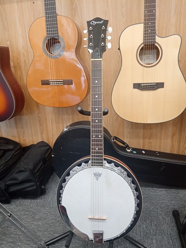 Ozark string banjo - ozark, with