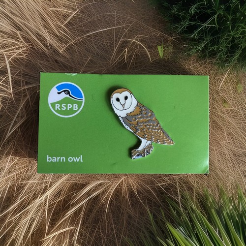 Rspb pin badge barn - ,