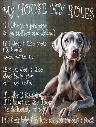 Weimaraner dog house my - weimaraner,