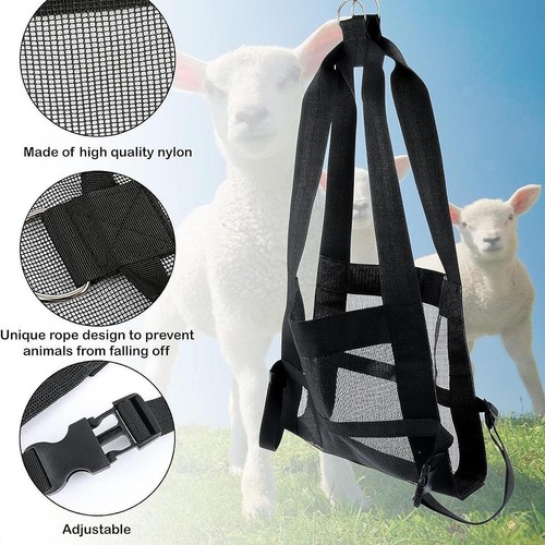 Animal weighing sling for - animal,