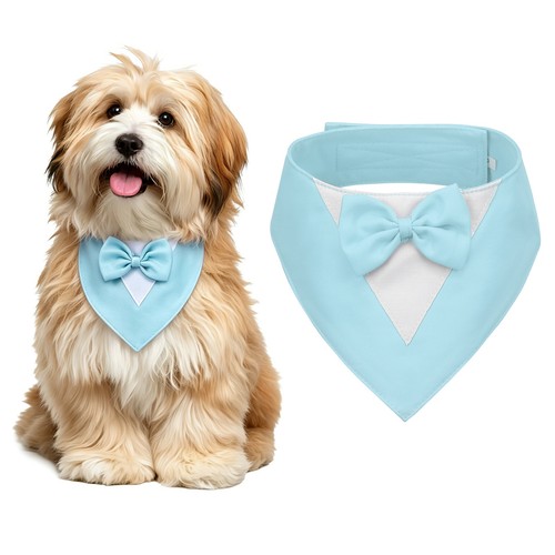 Dog tuxedo bandana collar - tuxedo,