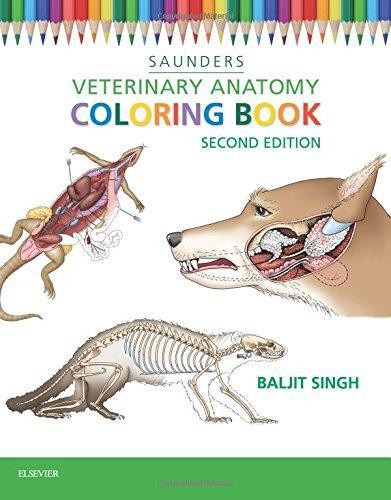 Veterinary anatomy coloring - veterinary,