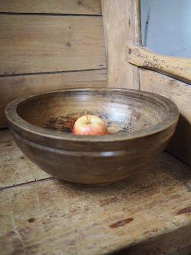 Antique spalded beech - antique, fruit
