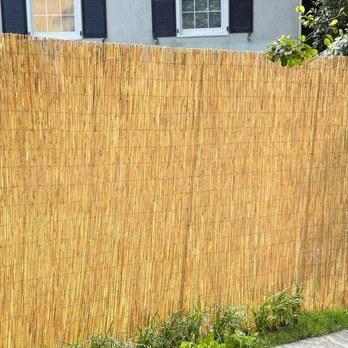 Natural peeled reed - 4m,