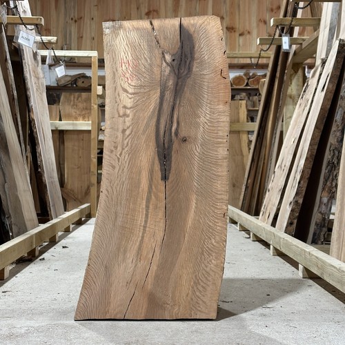 Holm oak plank board - holm,