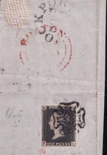 Sg2 black plate - plate, on