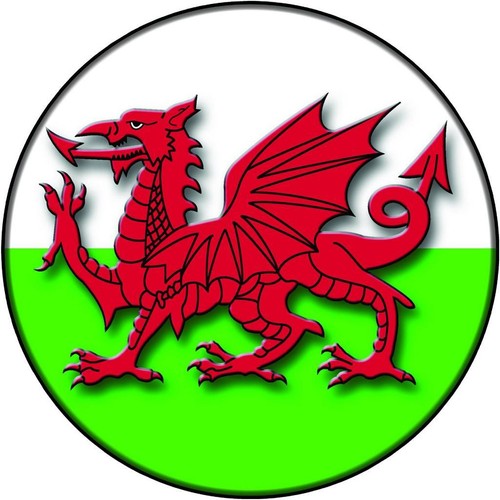 Spare wheel cover sticker - cover,