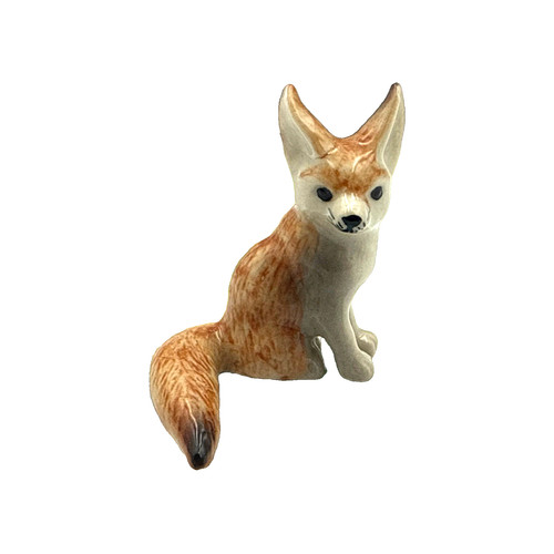 Fennec fox pup - fennec,