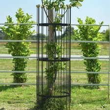 Wrought Iron Traditional 'Fernhill' Black Tree Guard - Large
