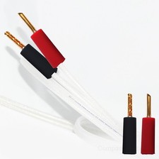 QED Silver Anniversary XT