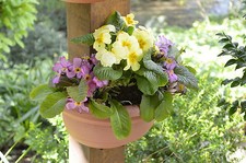 Neat ideas pipe post - neat,