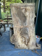 Beautiful English Elm Slab
