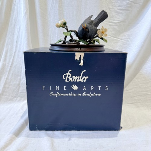 Border fine arts - arts,