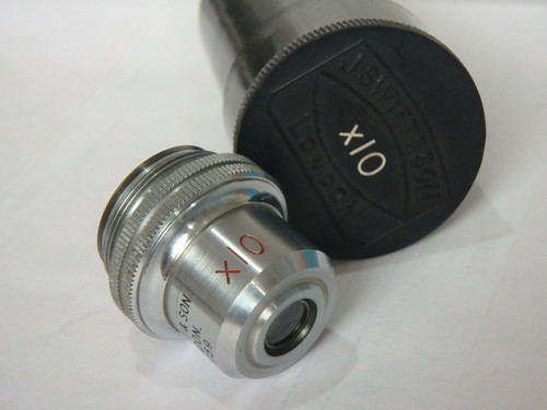 Swift son microscope - swift, pol