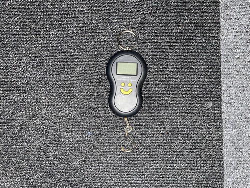 Portable led fishing fish - portable,