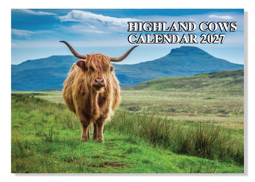 2027 highland cows - 2027,