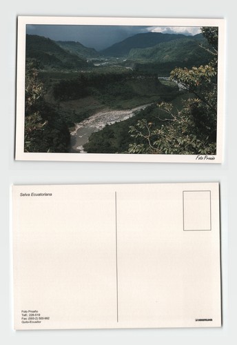 Postcard selva ecuatoriana - postcard,
