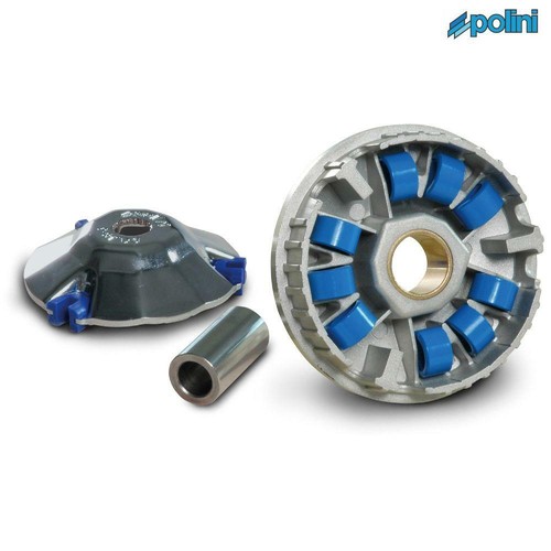 Polini p241665 variator maxi - p241665,