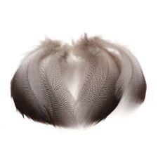 Mallard Duck Bronze Shoulder 10 Pack Of Feathers Durham Ranger