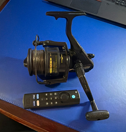 Daiwa fishing reel - fishing, reel.