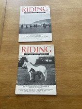 Riding The Horse Lovers