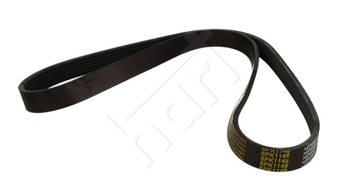 Ribbed belt 331 - belt,