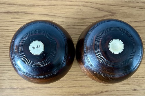 Darlington lignum vitae - darlington, crown