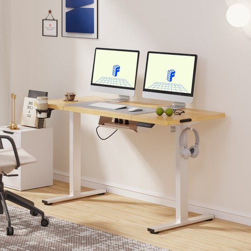 Flexispot qe1 electric - qe1,