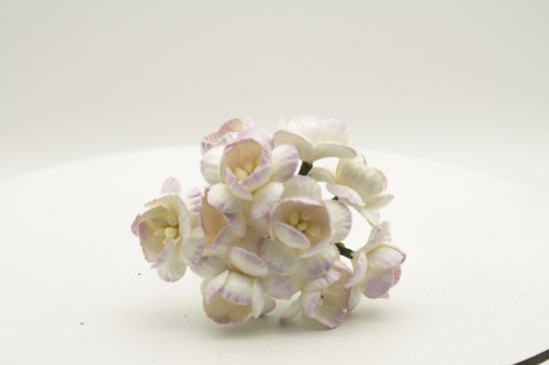 10x mulberry paper cherry - paper,