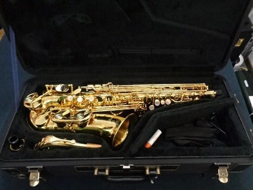 Yanagisawa wo1 alto - eb,