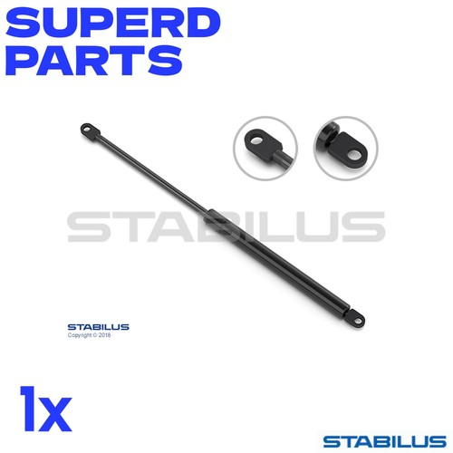 Gas spring trunk - gas,