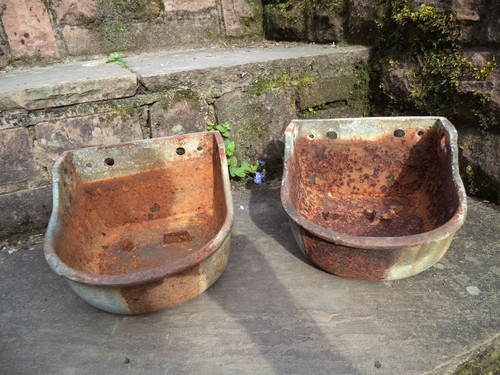 Galvanized cattle drinker - cattle,