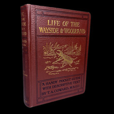Life of the Wayside & Woodland