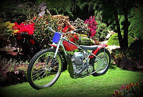 1986 jawa speedway bike - speedway,