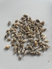 100 Assorted mixed Mini craft