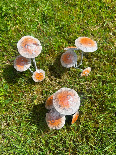 Set metal brown toadstool - of,