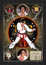 Elvis Presley Karate -  A4
