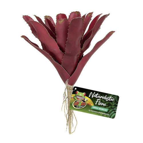 Zoo med naturalistic - med,