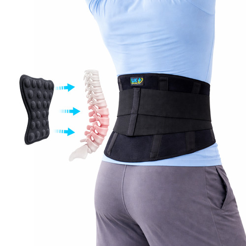 Back support belt - belt, brace