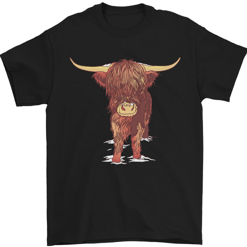 Highland cattle cow scotland - cattle,