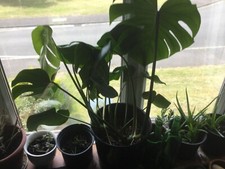 .’‘Special offer