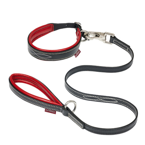 Lemieux toy dog - lead, collar