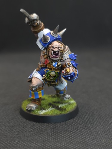 Blood bowl pro - pro, painted