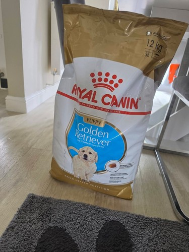 Royal canin golden - golden, retriever