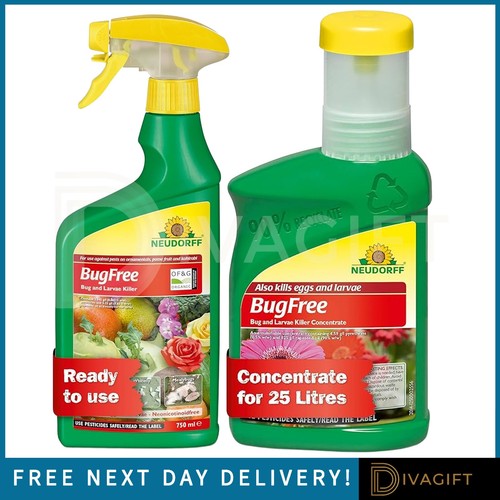 Neudorff bug larvae - bug,