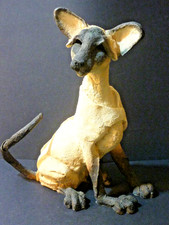 Country Artists A Breed Apart