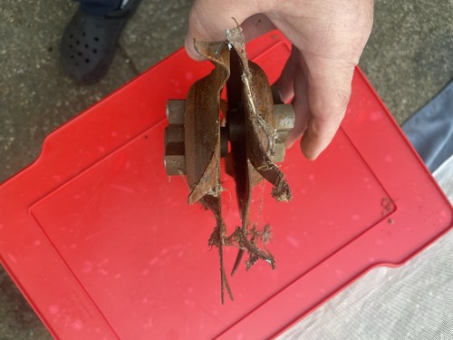 Mantis tiller planting - mantis,