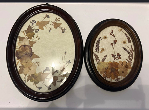 Oval framed pressed flower - framed,