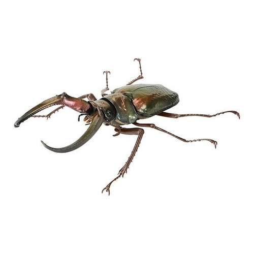 Bandai gashapon stag beetle - bandai,
