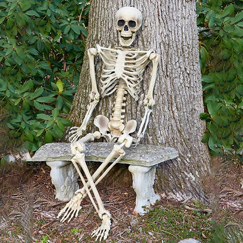 Life size human - skeleton, model